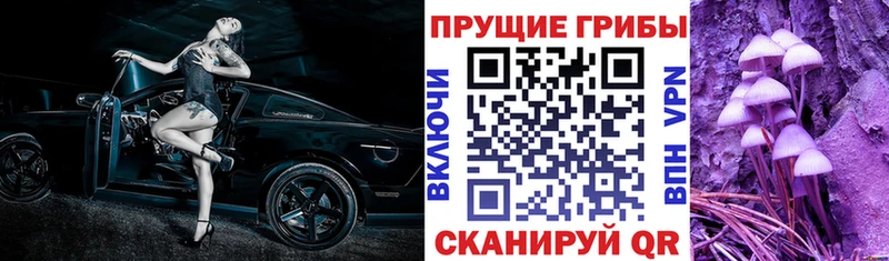 Псилоцибиновые грибы MAGIC MUSHROOMS  Абдулино 